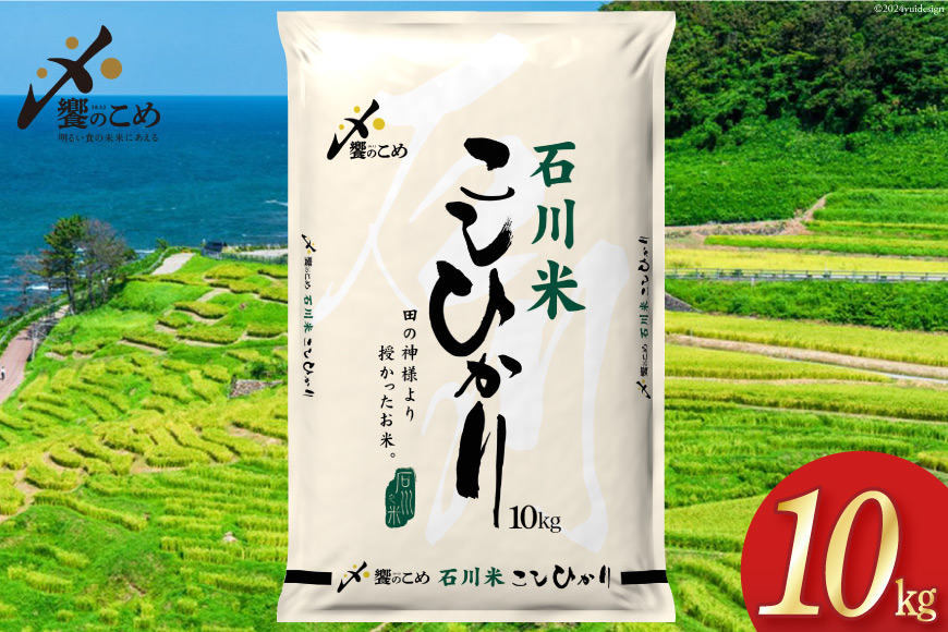 【期間限定発送】 米 令和7年 石川県産 石川米こしひかり【穂立】10kg [中橋商事 饗のこめ (あえのこめ) 石川県 宝達志水町 38601198] コシヒカリ お米 コメ 白米 精米 おこめ こめ 10キロ ごはん ご飯 国産
