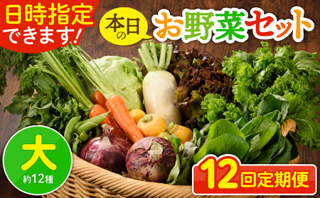 日時指定可能！旬のお野菜セット（サイズ大）【全12回定期便】