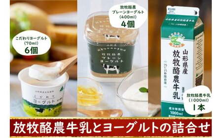 放牧酪農牛乳とヨーグルトの詰め合わせ