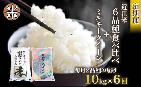 令和6年産 新米 定期便 10kg 全6回 ミルキークイーン  + 6品種 食べ比べ ( こしひかり みずかがみ にじのきらめき あきたこまち キヌヒカリ ほしじるし ) 全7品種 白米 各 5kg × 2袋 3ヶ月 近江米  国産 お米 米 おこめ ごはん ご飯 白飯 しろめし こめ ゴハン 御飯 滋賀県産 竜王 ふるさと ランキング 人気 おすすめ