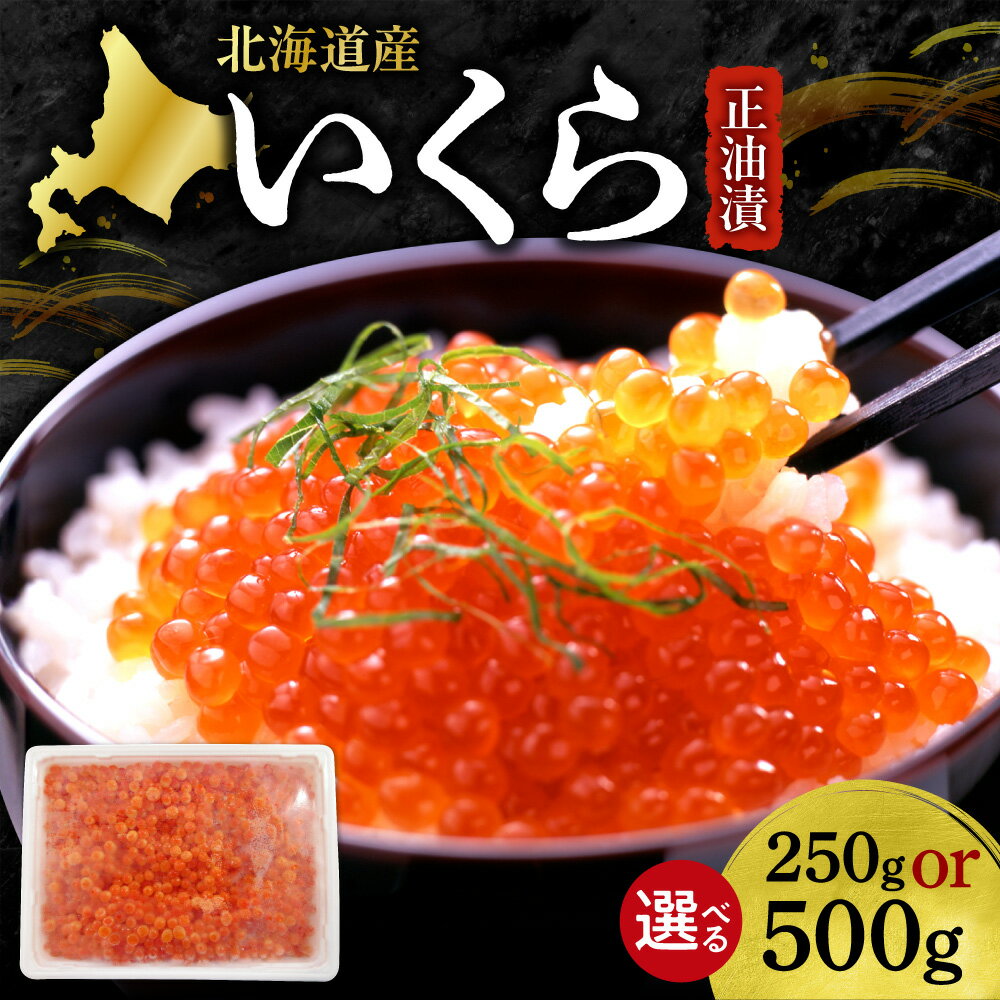【ふるさと納税】 北海道産 いくら 正油漬 【 選べる 容量 】 250g 500g イクラ ikura 味付き 鮭 サケ シャケ 秋鮭 魚卵 鮭卵 海鮮 魚介 イクラ丼 おつまみ おかず ご飯のお供 冷凍 水産 海産 お取り寄せ グルメ ギフト 北海道 札幌市