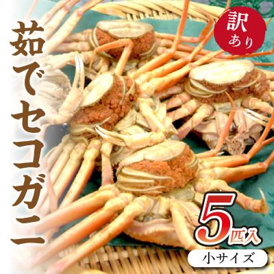 ふるさと納税 京丹後市 驚きの旨さ!茹でセコガニ 【訳あり】小サイズ5匹入(冷凍) | 