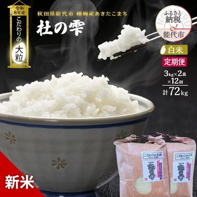 ふるさと納税 能代市 新米 令和8年産 定期便 白米 秋田県産 あきたこまち 6kg 全12回[No.5409-0052]