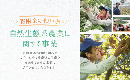 【返礼品なしの寄附】宮崎県綾町 ＜自然生態系農業に関する事業を応援＞ 1,000円 寄附のみ 応援寄附 寄付