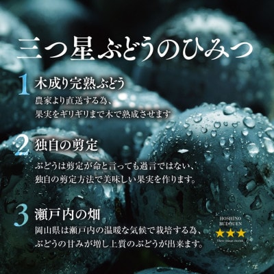先行受付【訳あり】星乃ピオーネ 3房～5房(2kg以上)【配送不可地域：離島・北海道・沖縄県】