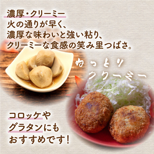 先行予約 里芋 笑み里つばさ さといも 産地直送 里芋 国産 期間 野菜 髙橋農園 里芋 新潟 新発田 takahashi003