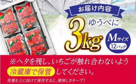 いちご Mサイズ ゆうべに 3kg（12pc）【熊本ベリー】 熊本県産 くだもの イチゴ 苺 国産ゆうべにいちご 九州 [ZER009]