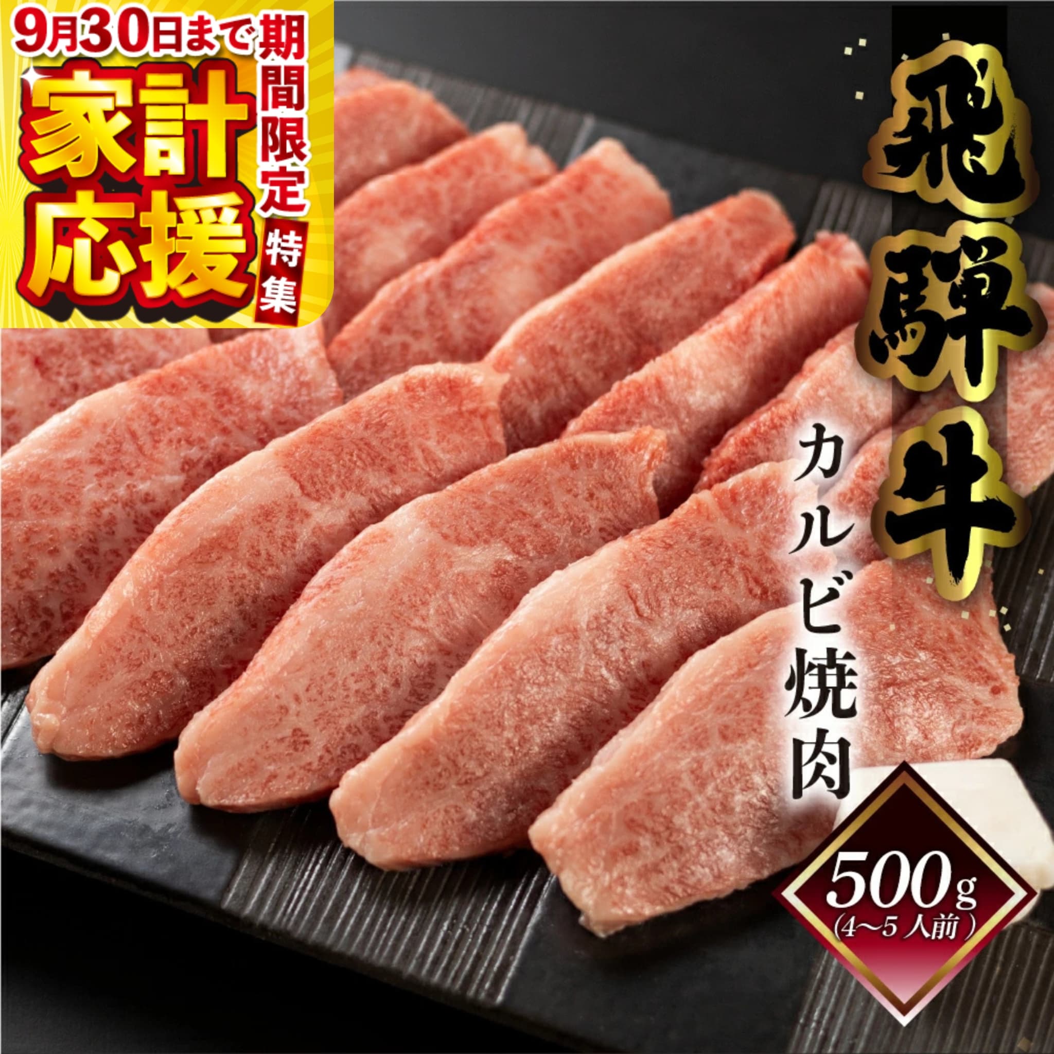 【ふるさと納税】 菊の井 飛騨牛 カルビ 焼肉 500g（4〜5人前） 焼肉用 おすすめ 牛肉 肉 和牛 赤身 人気 ブランド牛 肉ギフト 国産　贈答品 焼き肉 やきにく ギフト 【冷凍】 20000円 岐阜県 下呂市