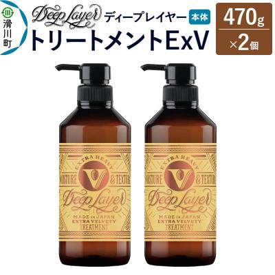 ふるさと納税 滑川町 ディープレイヤー トリートメント ExV 470g×2個|19_sss-370201