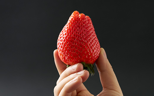 栃木県 いちご 新品種【スカイベリー】9粒～12粒 約450g【配送不可地域：離島】