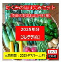 【ふるさと納税】【先行予約】【5ヶ月定期便】たくみのほほ笑みセット (季節の野菜おまかせ7種) ＜出荷開始：2025年7月1日～2025年 11月30日まで＞ 高原野菜【 産地直送 産直 季節の野菜 旬の野菜 有機野菜 有機栽培 長野県 佐久市 】