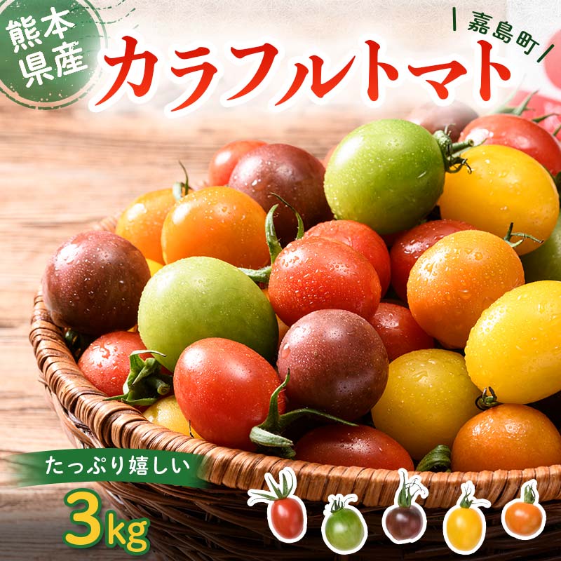 FKK19-809_嘉島町産カラフルトマト3kg