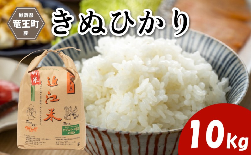 
                  令和7年産米 キヌヒカリ 精米 10kg 玄米 も選べる 環境こだわり米 お米 おこめ きぬひかり 2025年産 米 化学肥料不使用 特別栽培米 甘み キラキラ つややか 炊飯器 国産 近江米 贈り物 ギフト プレゼント 農家応援 人気 農家直送 産地直送 滋賀県 竜王町 ふるさと納税
                