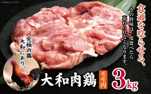 大和肉鶏 モモ肉 3.0kg |  肉 鶏 大和 鶏肉 かしわ うまみ 料理 和食 洋食 食卓 新鮮 食 フード 高品質 コク おすすめ だし 一貫生産 国産 通販 ギフト 奈良県 五條市