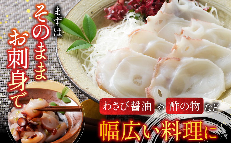 【北海道根室産】たこ足800g前後～1.4kg前後×1本 A-70051