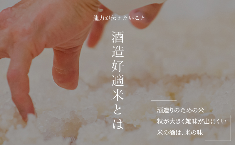 日本酒 受賞多数 大吟醸 龍力 米のささやき 1800ml 地酒 お酒 酒 アルコール 大吟醸酒 辛口 フルーティー フルーティーな香り 山田錦 一升瓶 1800 家飲み YK-35 兵庫 兵庫県 姫