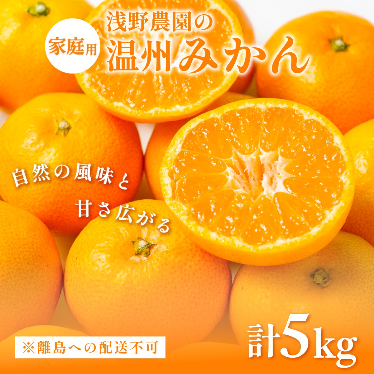 
            【先行予約】浅野農園の温州みかん 家庭用5kg ※離島への配送不可（2025年12月上旬～12月中旬頃に順次発送予定 ） 【 ふるさと納税 人気 おすすめ ランキング みかん 柑橘 ミカン 蜜柑 mikan 果物 フルーツ オレンジ 家庭用 5kg 愛媛県 伊方町 送料無料 】IKTAC004
          