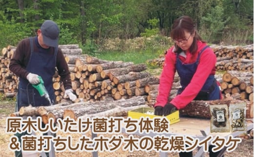 AL-5002 原木シイタケの菌打ち体験＆自分で菌打ちしたホダ木から採れた乾燥シイタケ