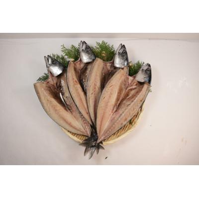 ふるさと納税 銚子市 一汐さば さぬき塩を使用　4尾
