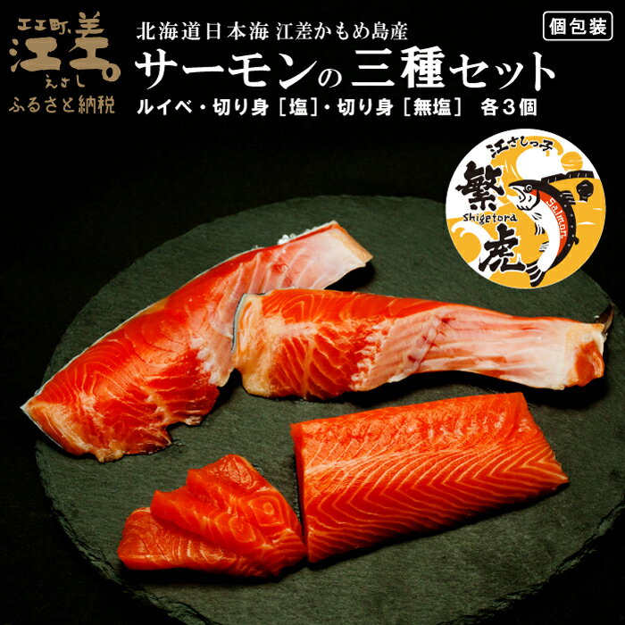 【ふるさと納税】北海道産 サーモンの三種セット ルイベ〈冷凍刺身〉お刺身用ブロック・切り身［塩］・切り身［無塩］ 各3個 計9個　日本海 かもめ島海面養殖　純国産 ブランドサーモン『江さしっ子 繁虎』　とろける脂　冷凍　小分け　個包装　トラウトサーモン
