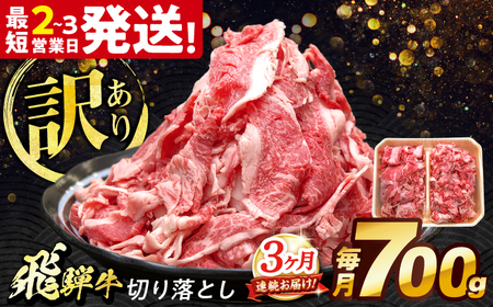【3回定期便】 飛騨牛 切り落とし 700g 多治見市 / 養老ミート 冷凍 赤身 和牛 訳あり ギフト[THG017]