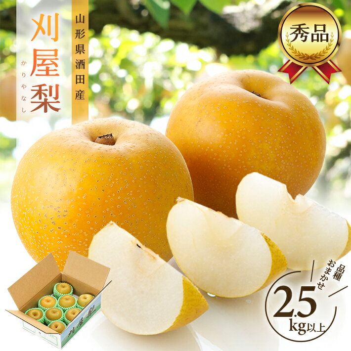 【ふるさと納税】酒田の美味しい刈屋梨 秀品 2.5kg以上 6～9玉 8月下旬〜9月下旬頃お届け ※着日指定不可 刈屋梨 和梨 梨 なし 果物 くだもの フルーツ 夏 秋 旬 酒田 庄内 刈屋
