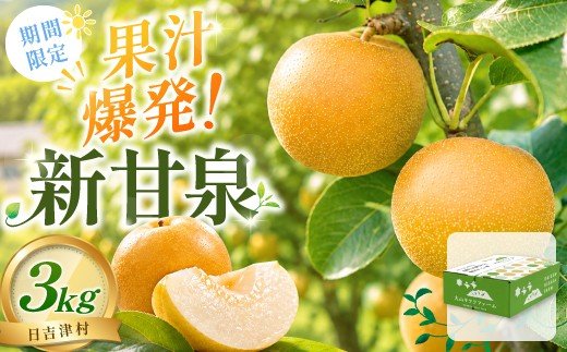
                  新甘泉3kg箱(鳥取県大山町産梨)【梨  新甘泉 赤秀 先行予約 季節限定 赤梨 3kg 5玉～8玉 なし 贈答用 期間限定 果物 フルーツ くだもの  数量限定】
                