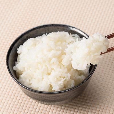 ふるさと納税 川西町 【令和7年産】特別栽培雪若丸　精米 5kg |  | 01