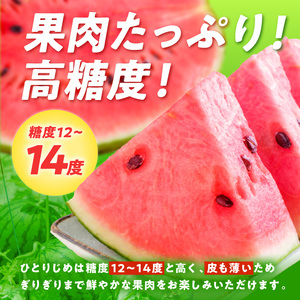 【0251-4】紀州プレミアムひとりじめ（小玉スイカ） 2玉3.5kg程度≪先行予約2026年6月初旬以降発送分≫