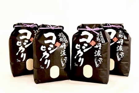 京丹波こしひかり 20kg 令和5年産 京都 米 精米 コシヒカリ ※北海道・沖縄・その他離島は配送不可 [033MB001]