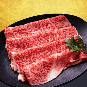 飛騨牛 すき焼き・しゃぶしゃぶ用お肉　2種食べ比べ（赤身500g、ロース500g） ※離島への配送不可