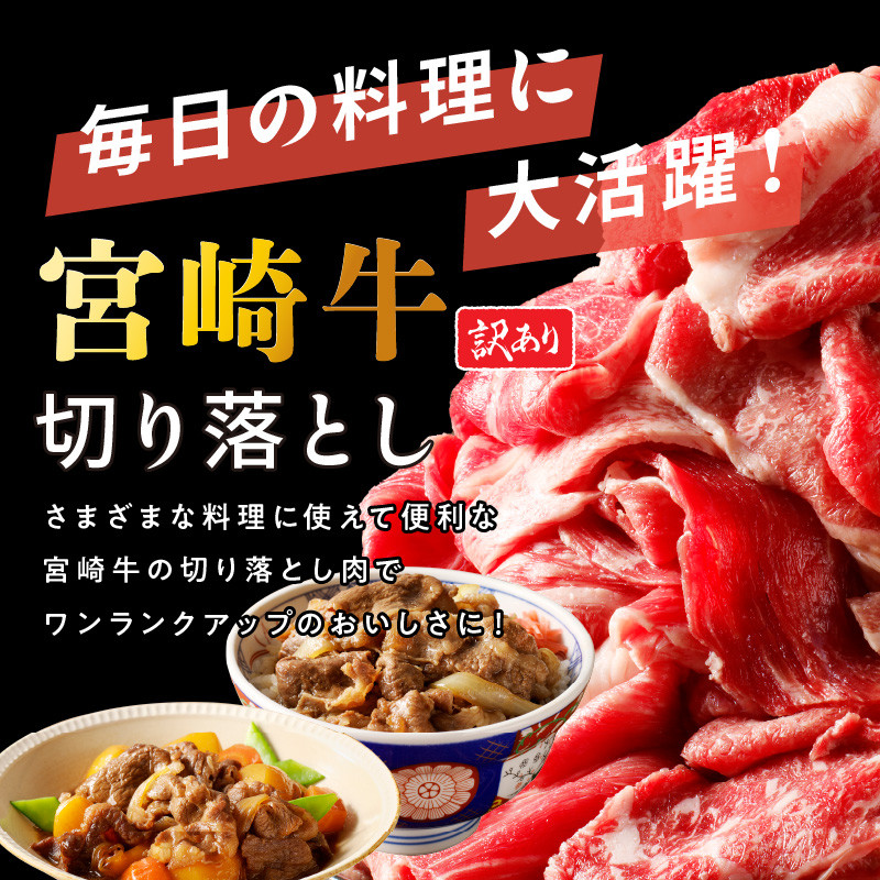 【訳あり】宮崎牛切り落とし1kg N0140-YA2250