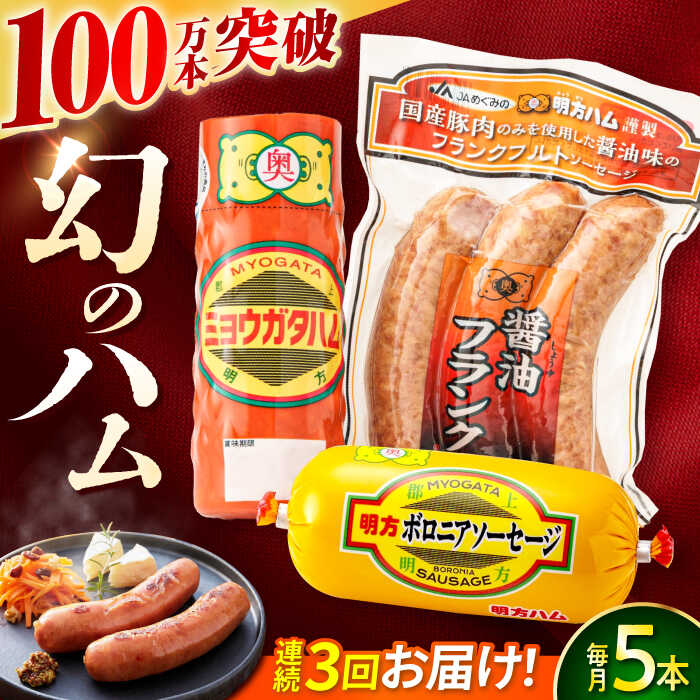 【ふるさと納税】【3回定期便】明方ハム詰め合わせ Aセット / 明方 ハム 厚切り ボロニアソーセージ ハムステーキ 朝食 フランクフルト ウインナー BBQ ソーセージ フランク 箱入り ギフト / 御嵩町 / めぐみの農業協同組合[AVBA003]