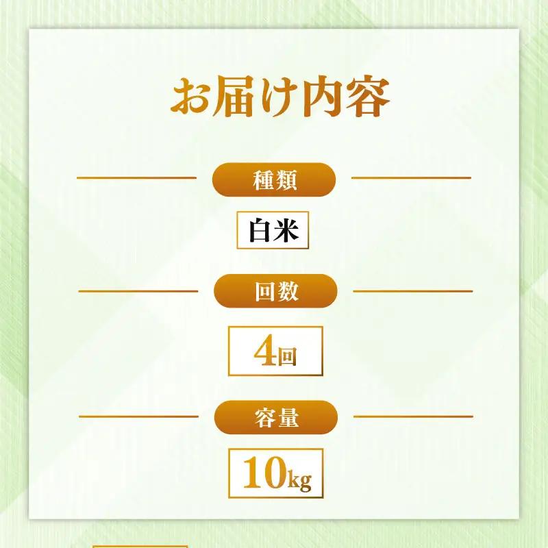定期便 ヒノヒカリ白米  10kg×4回