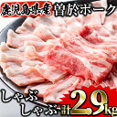 【ふるさと納税】鹿児島県曽於市産 曽於ポークしゃぶセット2.9kg 国産 鹿児島県産 小分け 冷凍 豚肉 しゃぶしゃぶ 豚ロース 豚バラ 肩ロース 切り落とし 豚ミンチ ロース ミンチ 詰め合わせ【Rana】