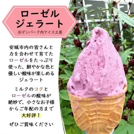 デンパーク入園券2枚+ローゼルジェラート引換券2枚/愛知県安城市【1686737】