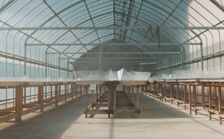 塩結‐三つ彩‐A 小分け 業務用 塩 調味料 塩分 天日塩 国産塩 にがり セット