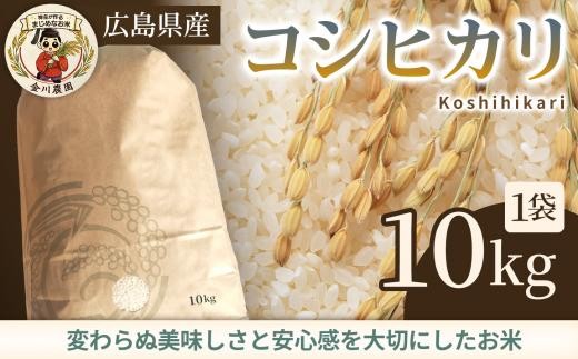 コシヒカリ 10kg 米 お米 ご飯 ごはん 白米 精米 238011