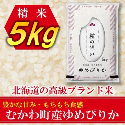 ふるさと納税 むかわ町 【令和7年産先行予約】北海道のブランド米!北海道むかわ町産ゆめぴりか　精米5kg