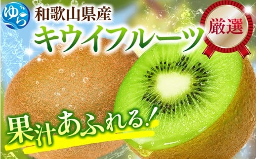 ＜11月より発送＞厳選 キウイフルーツ0.5kg+250g（傷み補償分）【扁平果】 / フルーツ 果物 おすすめ 和歌山 キウイフルーツ キウイ 【ikd038D】