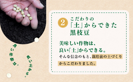 【先行予約】畑から直送・朝採り黒枝豆1.8kg