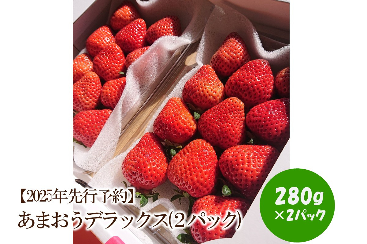 
            【2025年先行予約】あまおうデラックス(2パック)【044-0011】
          