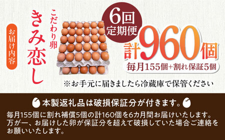 【6回定期便】きみ恋し 160個（155個+割れ保証5個）×6ヶ月 総計960個 広川町/伊藤養鶏場[AFAJ017]