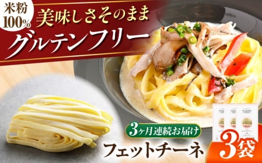 【3回定期便】 【グルテンフリー】 モチモチ平打ち麺！ 米粉フェットチーネ グルテンフリー 米粉 パスタ 岐阜市 / 小林生麺 [ANGM026]