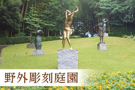 日動美術館 半日貸し切りプラン 最大20名様 1日1組 限定 予約 貸し切り 貸切 半日 プラン 旅行 美術館 展示 彫刻 庭園 カフェ 食事 笠間日動美術館 芸術 美術 茨城県 笠間市 KI-004