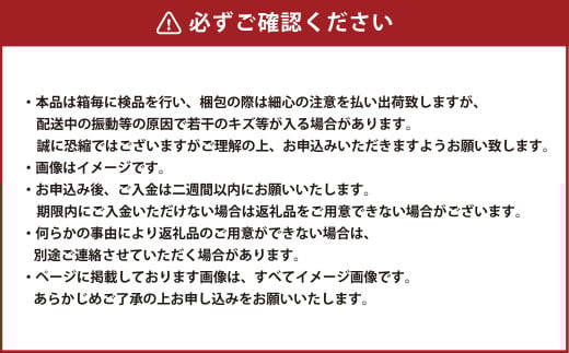 岡山白桃 エース 4～6玉 約1kg 岡山県産