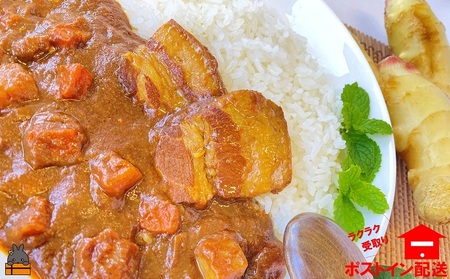～島豚の角煮が“ごろっと”入った～徳之島豚角煮カレー（中辛）（1箱）【ポストイン配送】（ カレー カリー 豚肉 ご当地カレー レトルト食品 徳之島 奄美 鹿児島 スパイシー 美農里館 ）