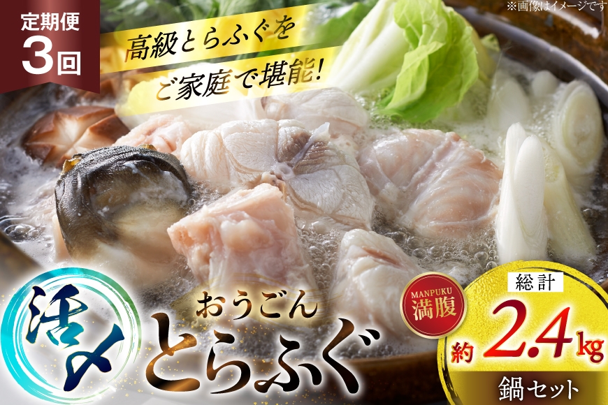 
                  ふぐ 鍋 セット 活〆 おうごんとらふぐ 満腹 鍋セット 約800g 3回 定期便 総計 約2.4kg [松永水産 長崎県 平戸市 hr42bvj550031] とらふぐ フグ 河豚 てっちり ふぐちり ふぐ料理 魚介 さかな 切り身 冷凍 海鮮 ふぐ鍋 唐揚げ
                