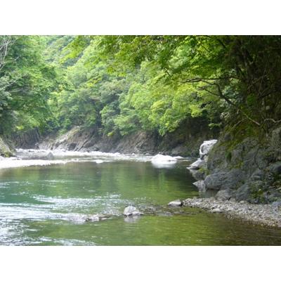 ふるさと納税 人吉市 限定川辺・たる繊月セット |  | 03