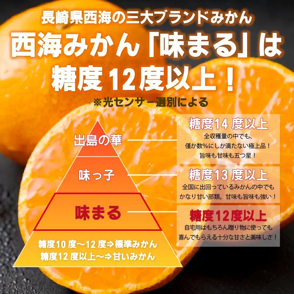 【 早期受付 】西海みかん 味まる 10kg 糖度12度以上 ブランドみかん 佐世保 【 11月発送 】